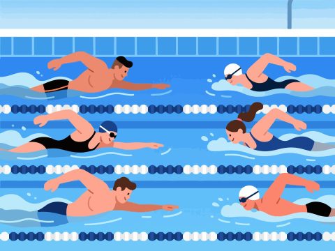 Swimmers Training Together in Pool - 2D Vector Design